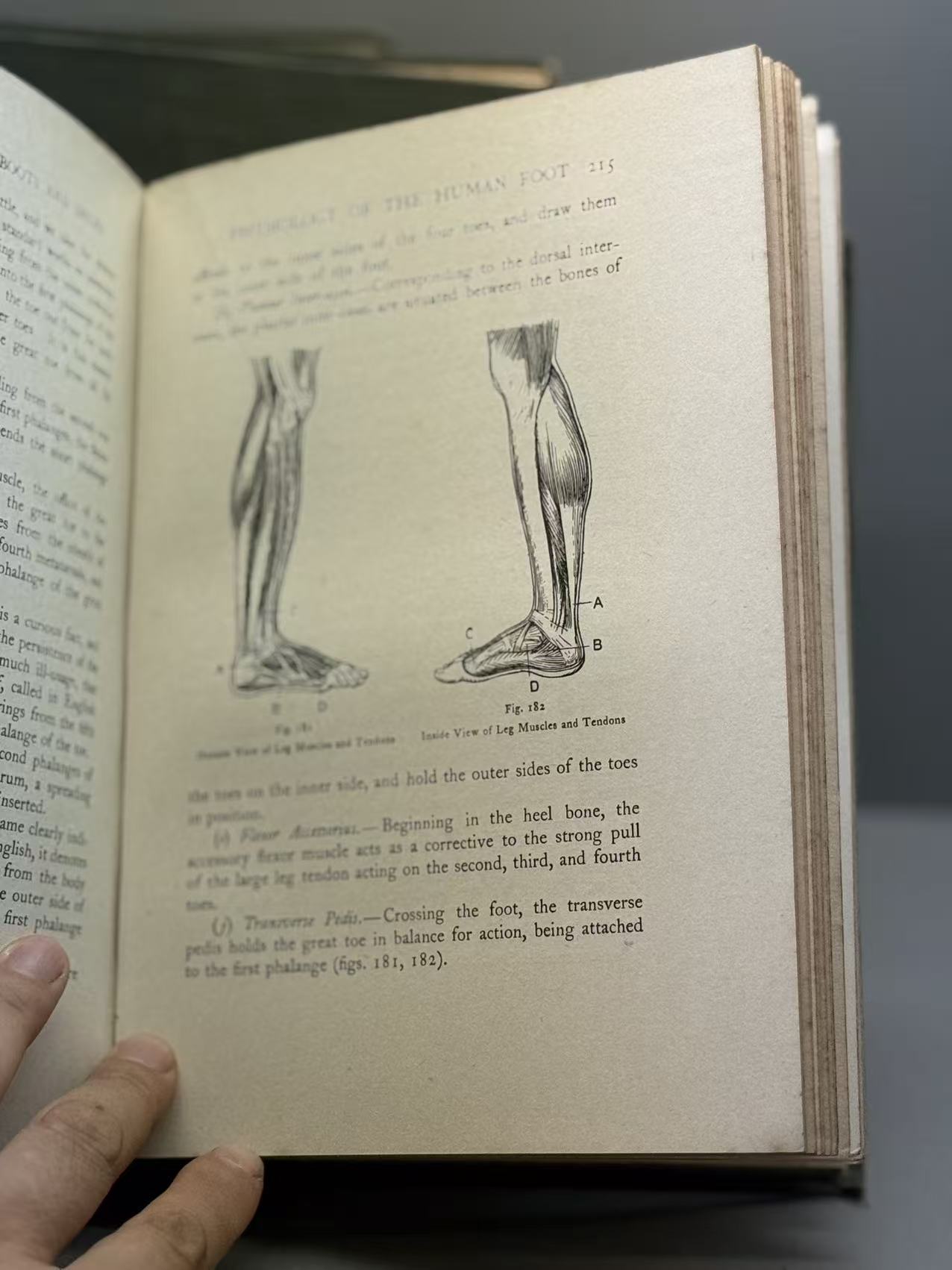 The Modern Boot & Shoe Maker (1920)